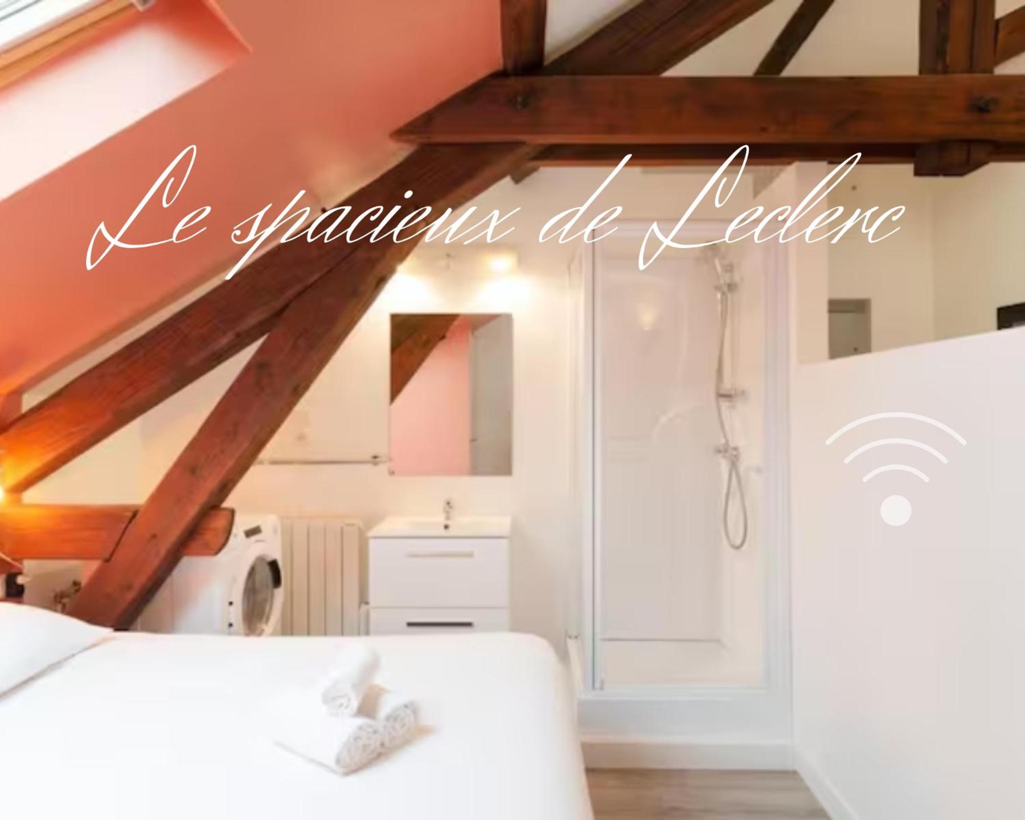 Residence Leclerc - Appartements D'Hotes - Secteur Thermal Nancy Ruang foto